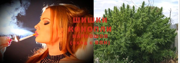 шишки Абдулино